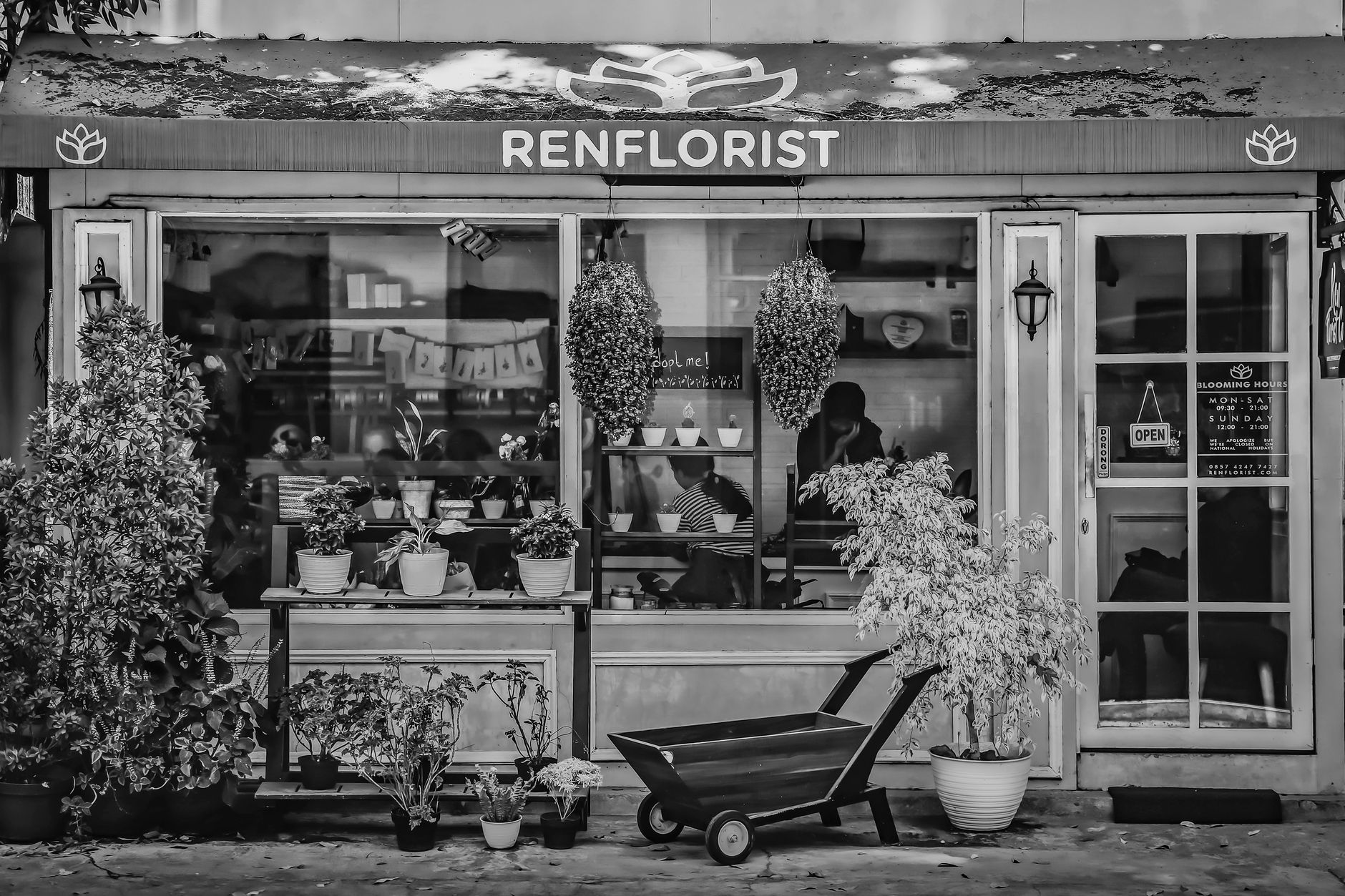 Fleuriste à Lunel